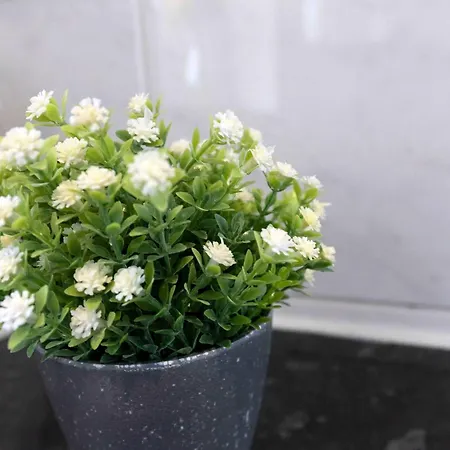 Town Centre Spacious With Private Parking Daire